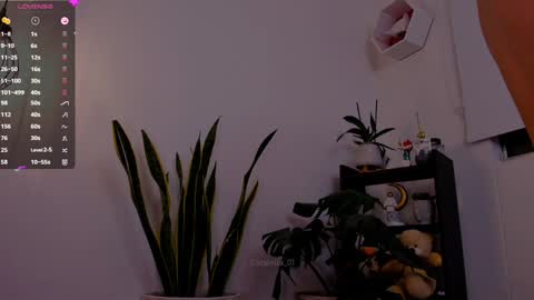 MACARENA online show from 01/06/25, 11:52