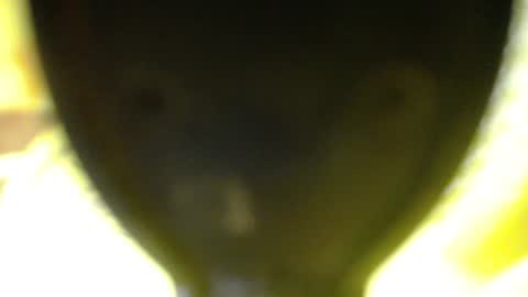 catalina201 online show from 06/13/26, 02:09