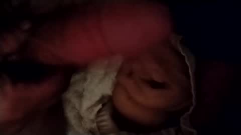 catdaddy179057 online show from 02/24/26, 11:30