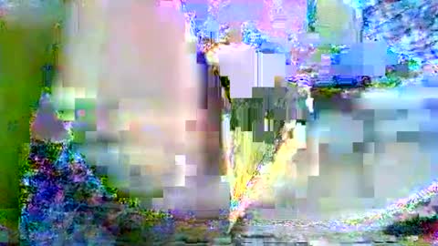 CathyXLisa online show from 02/22/25, 08:18