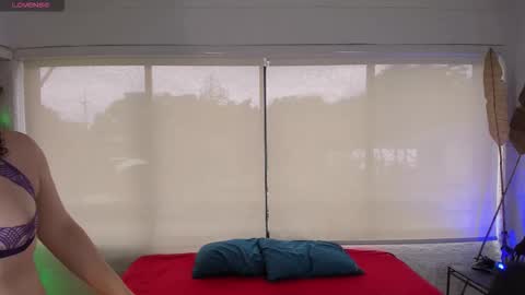 Catleya  online show from 11/28/25, 08:33