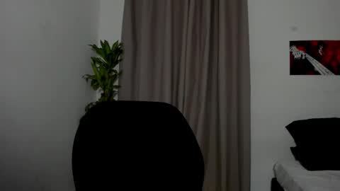 Catty online show from 01/12/26, 11:32