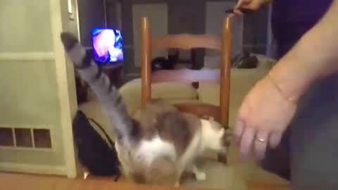 cbisc online show from 03/28/26, 12:10