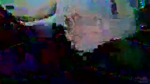 PureLeaf1990 online show from 01/05/25, 03:32