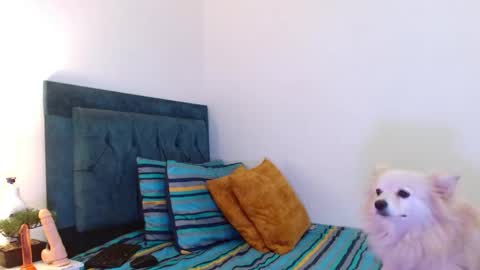 Snapshot of cedrixx10 chatting on 11/11/25, 10:32 Cedrixx10 online show from 11/11/25, 10:32