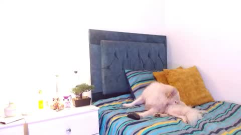 Snapshot of cedrixx10 chatting on 12/16/25, 09:31 Cedrixx10 online show from 12/16/25, 09:31