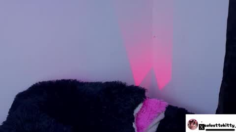 celestte_evans_1 online show from 02/08/26, 06:17