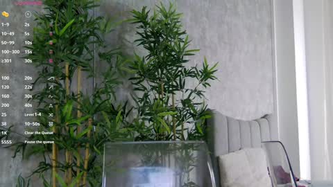 CelineMeyer online show from 01/31/25, 01:56