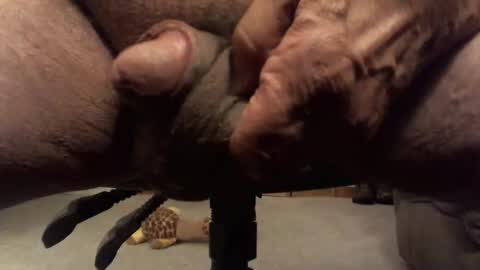 centaur629 online show from 02/13/26, 02:40