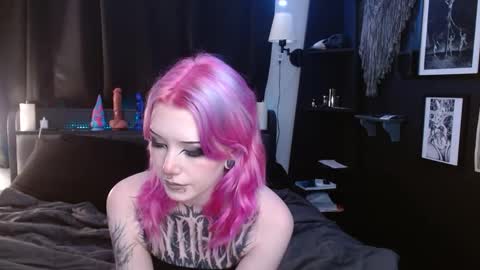 Snapshot of cerianex chatting on 02/25/25, 02:03 Averi online show from 02/25/25, 02:03