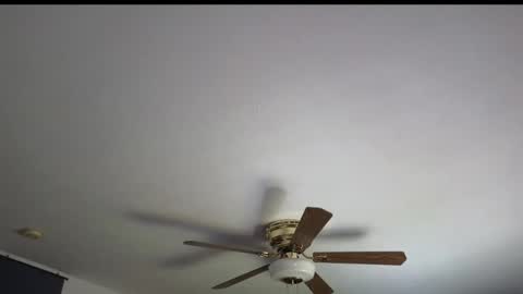 Snapshot of cessprinn chatting on 04/07/26, 05:35 Marie online show from 04/07/26, 05:35