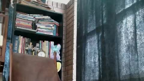 Snapshot of cguffey2284 chatting on 02/18/25, 04:05 cguffey2284 online show from 02/18/25, 04:05