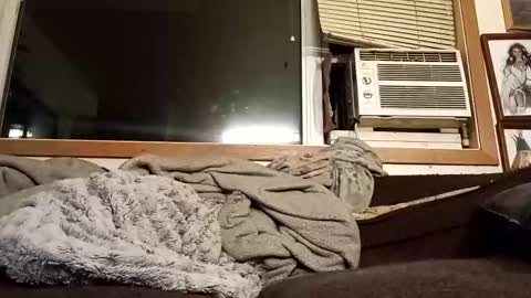 Chad420247 online show from 02/04/26, 03:23