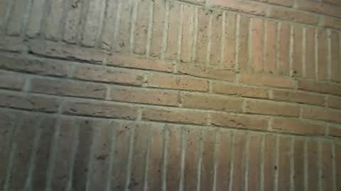 ChamanDick online show from 04/24/26, 02:47