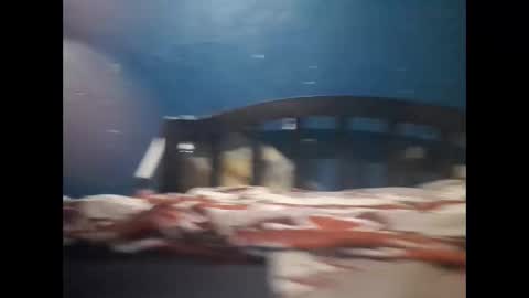 Khalif online show from 12/20/24, 10:11