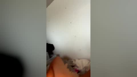 charl41209136 online show from 04/02/26, 07:33