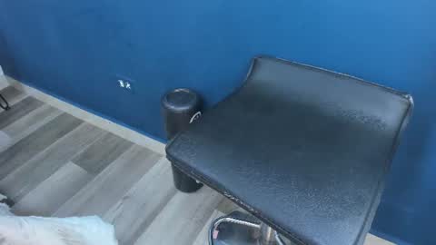Charlie Musk online show from 06/15/26, 11:34