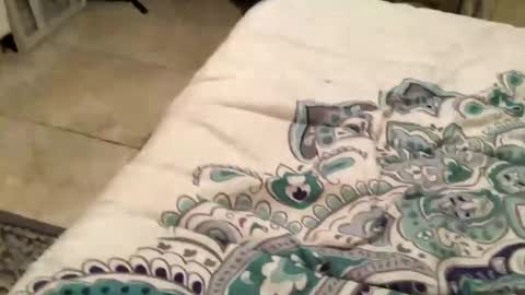 Snapshot of charliebroun chatting on 02/18/25, 06:15 charliebroun online show from 02/18/25, 06:15