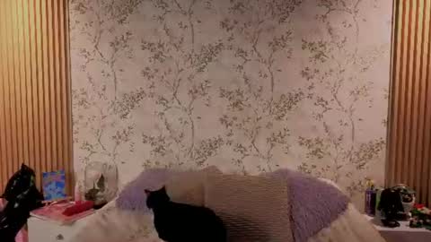 You honey online show from 07/14/26, 12:00