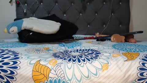 charlottee07 online show from 02/11/25, 06:30