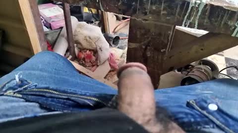 Snapshot of charly2289 chatting on 09/09/25, 01:32 Parcero online show from 09/09/25, 01:32