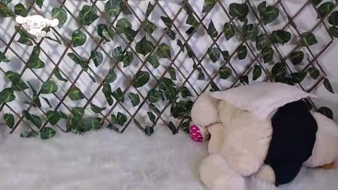 charly_evans60 online show from 02/25/25, 09:57