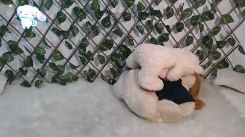 charly_evans60 online show from 03/02/25, 11:09