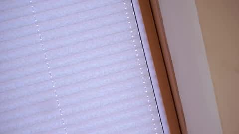 Sofia online show from 04/21/26, 01:42