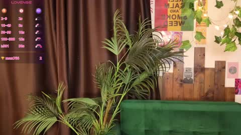 Lissa online show from 02/01/25, 10:15