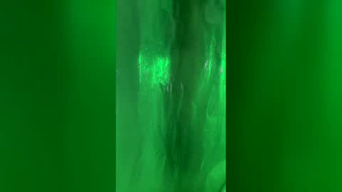 Chase2Attract online show from 03/24/26, 02:44