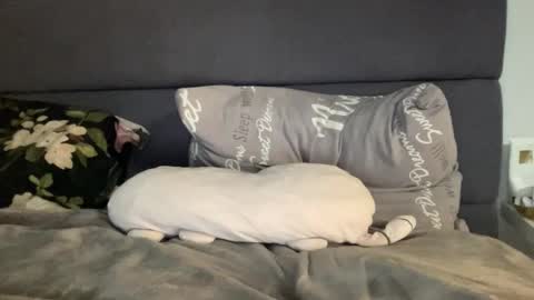 Snapshot of chase_vicky chatting on 09/19/25, 07:36 Vicky online show from 09/19/25, 07:36