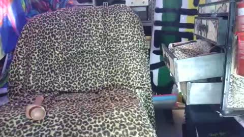 Sah009XXX online show from 03/07/26, 09:50