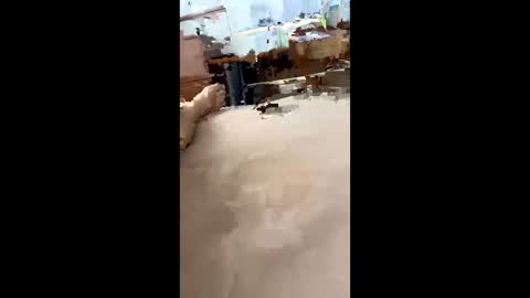 chasejase20333 online show from 12/16/24, 07:37