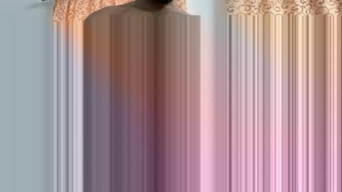 Snapshot of chaturmate00782 chatting on 03/20/26, 05:56 chaturmate00782 online show from 03/20/26, 05:56