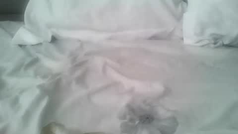 chatusandy26 online show from 02/14/26, 07:05