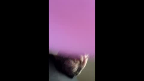 chef4u13 online show from 04/25/26, 09:01