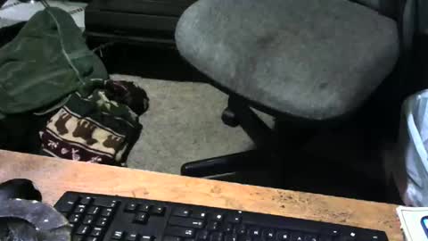 chefy online show from 12/18/25, 10:54