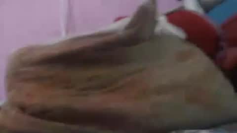 Cheila online show from 04/20/26, 02:42