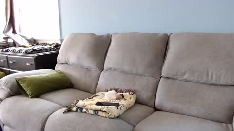 Chelsea online show from 04/28/26, 06:02