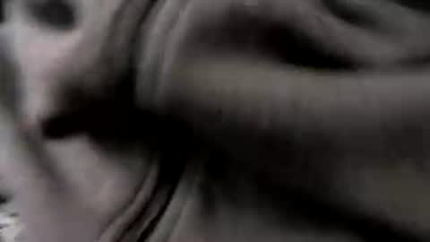 chicagosuburbs7 online show from 01/16/26, 05:17