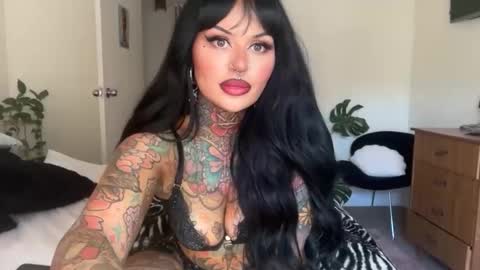 Chickhabit66 online show from 03/12/26, 12:06