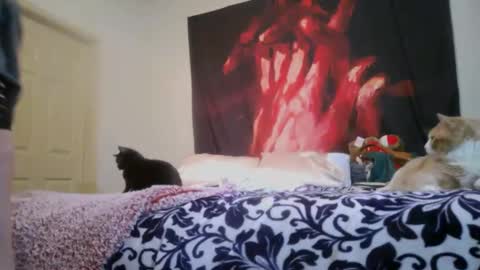 ChinaCove online show from 02/16/26, 12:40