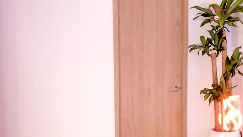    Schedule 7am to 2pm Col online show from 04/21/26, 10:32