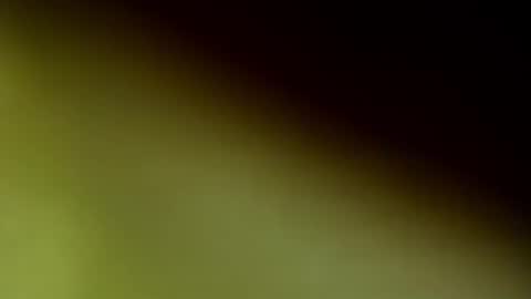 Snapshot of chloee_thompson chatting on 09/20/25, 02:56 ChloeeThompson online show from 09/20/25, 02:56
