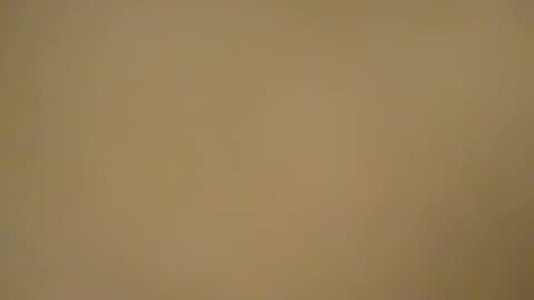 Snapshot of chocoschlong83 chatting on 01/21/25, 12:04 chocoschlong83 online show from 01/21/25, 12:04