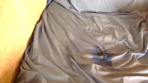 Snapshot of chpoor chatting on 02/28/25, 03:04 davenz online show from 02/28/25, 03:04