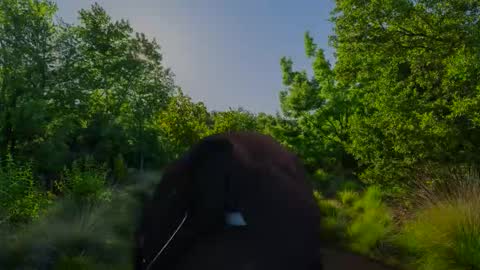 Christian online show from 11/10/25, 07:51