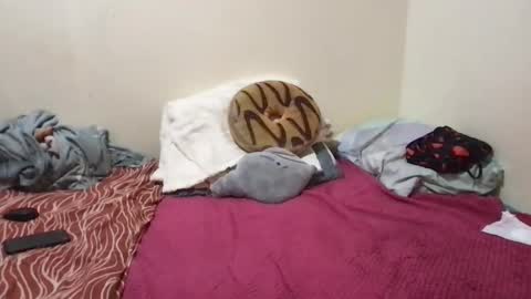 chris_jake1 online show from 03/14/26, 11:04