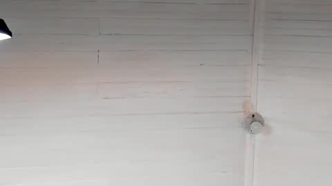 Snapshot of chris_macgregoor chatting on 12/05/24, 05:37 Chriz online show from 12/05/24, 05:37