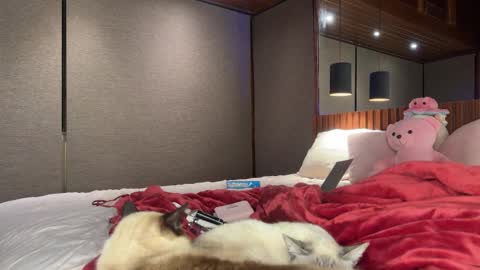 Snapshot of christinasage chatting on 09/18/25, 04:03 Christina Sage online show from 09/18/25, 04:03